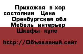 Прихожая  в хор.состоянии › Цена ­ 3 500 - Оренбургская обл. Мебель, интерьер » Шкафы, купе   